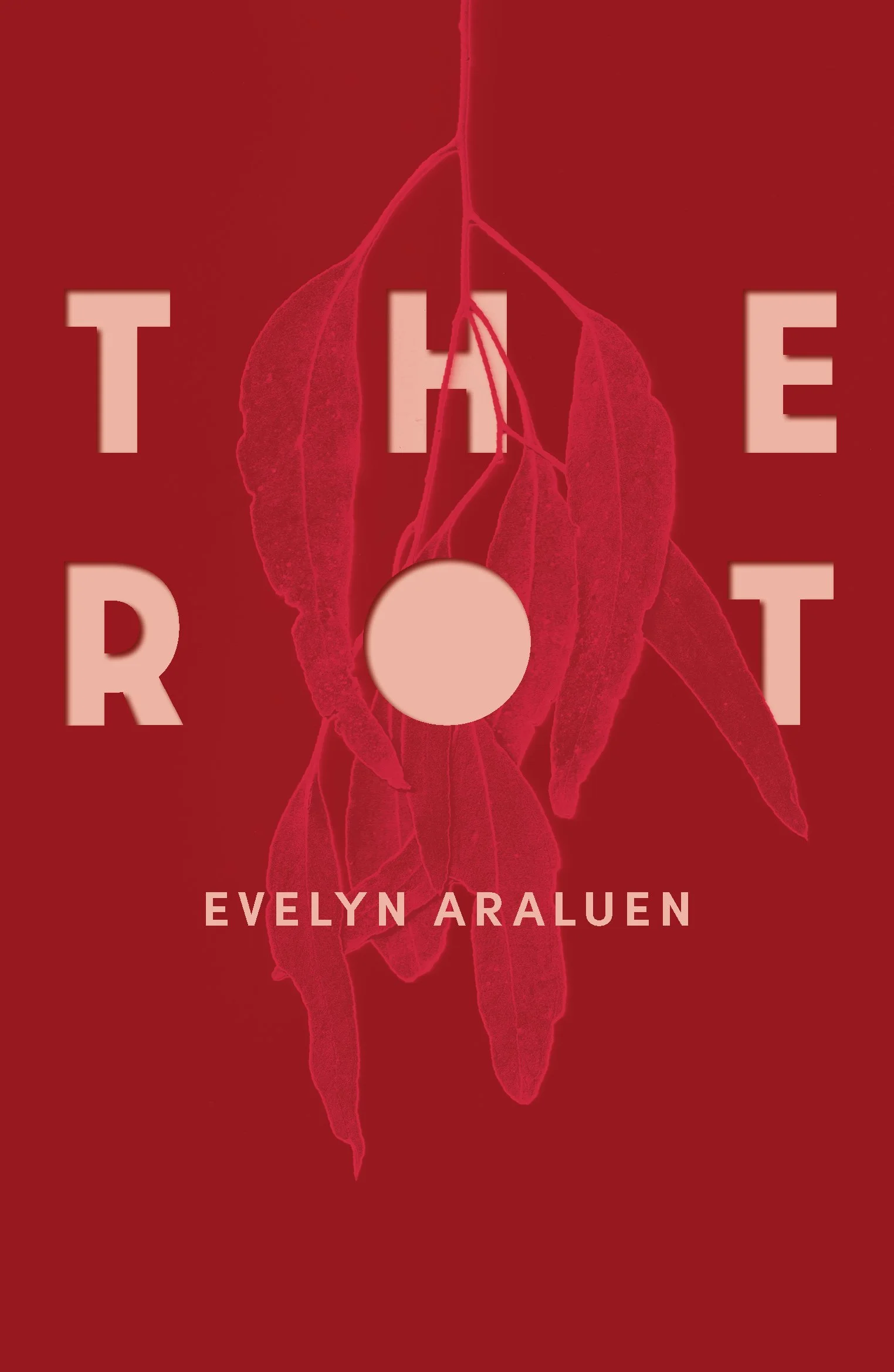 Evelyn Araluen COVER TheRot_Cover_FINAL_UPDATE_9780702268960_RGB.jpg