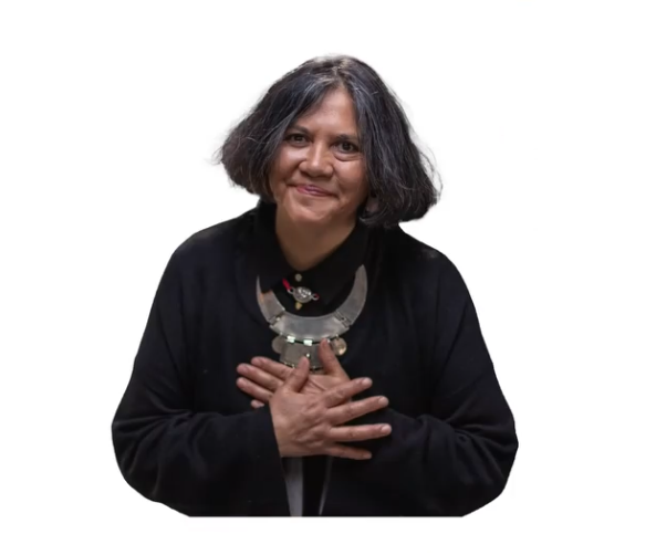 Calfuleo Manquepillan Faumelisa APPROVED 2026.png