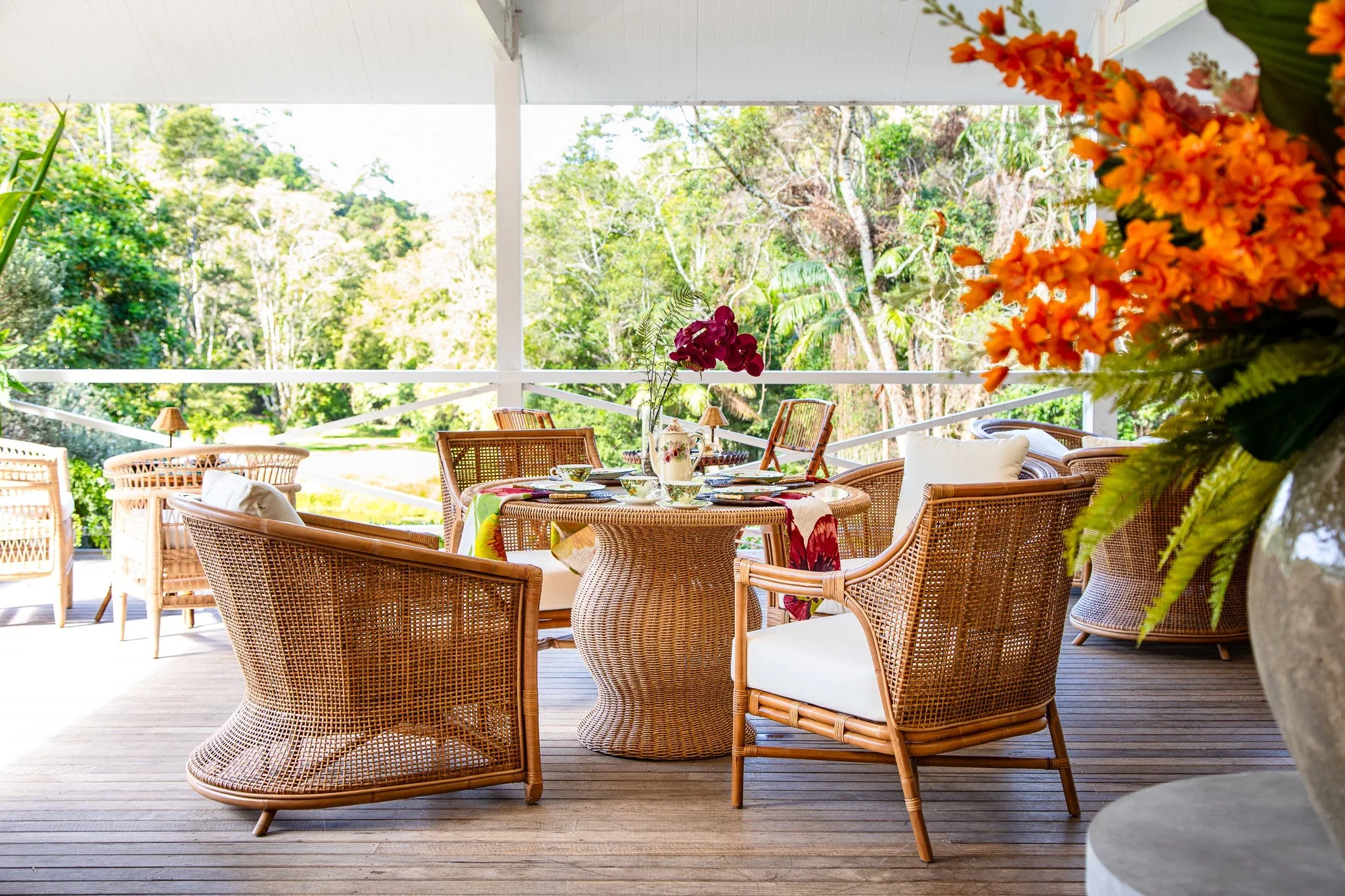 A Winter High Tea in the Rainforest at Nightcap Ridge