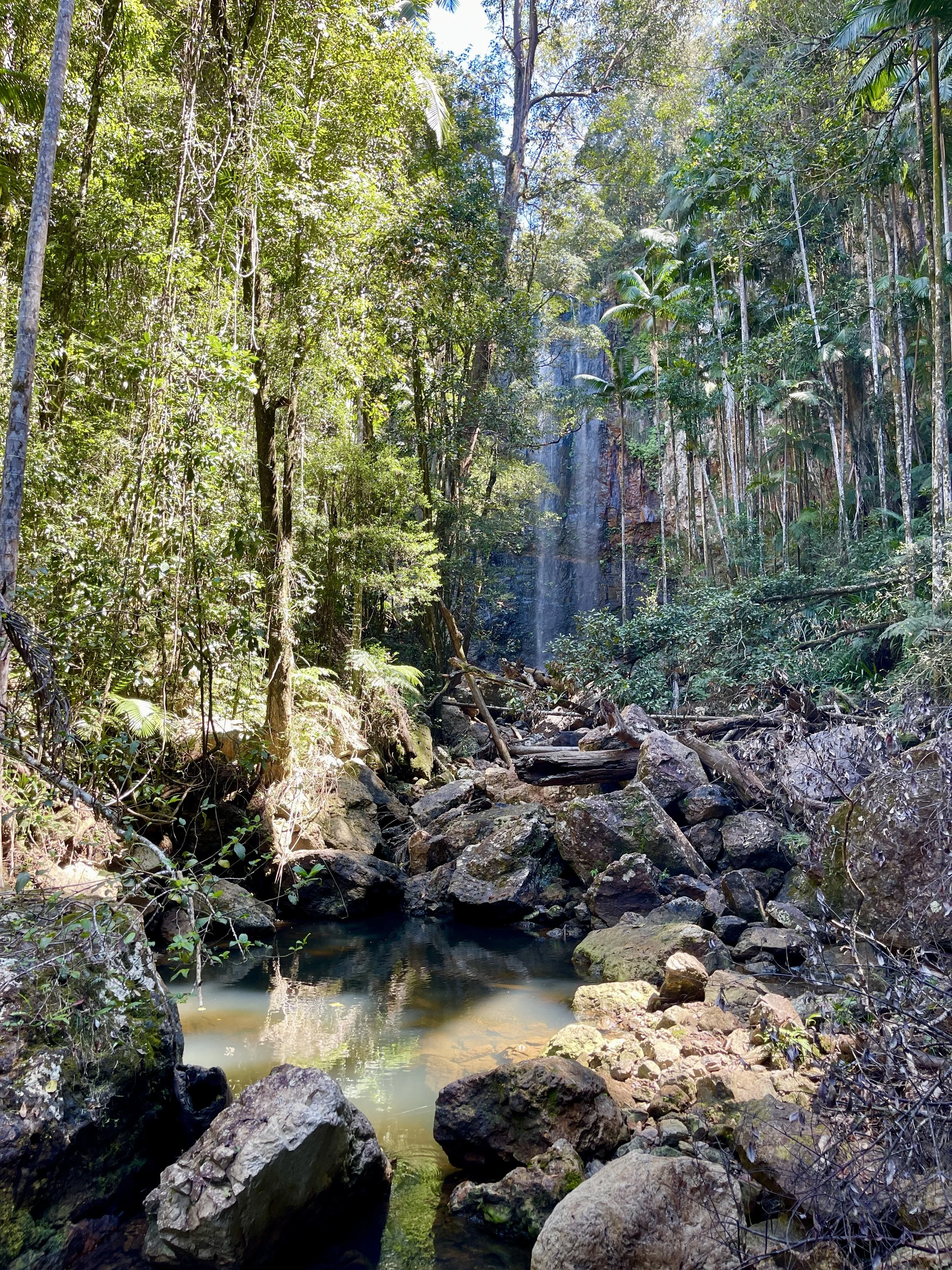 Nightcap Ridge Nature Waterfall.jpg