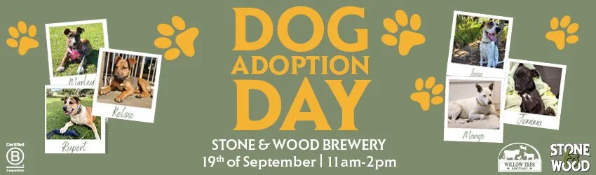 Stone &amp; Wood Dog Adoption Day: Spring Edition