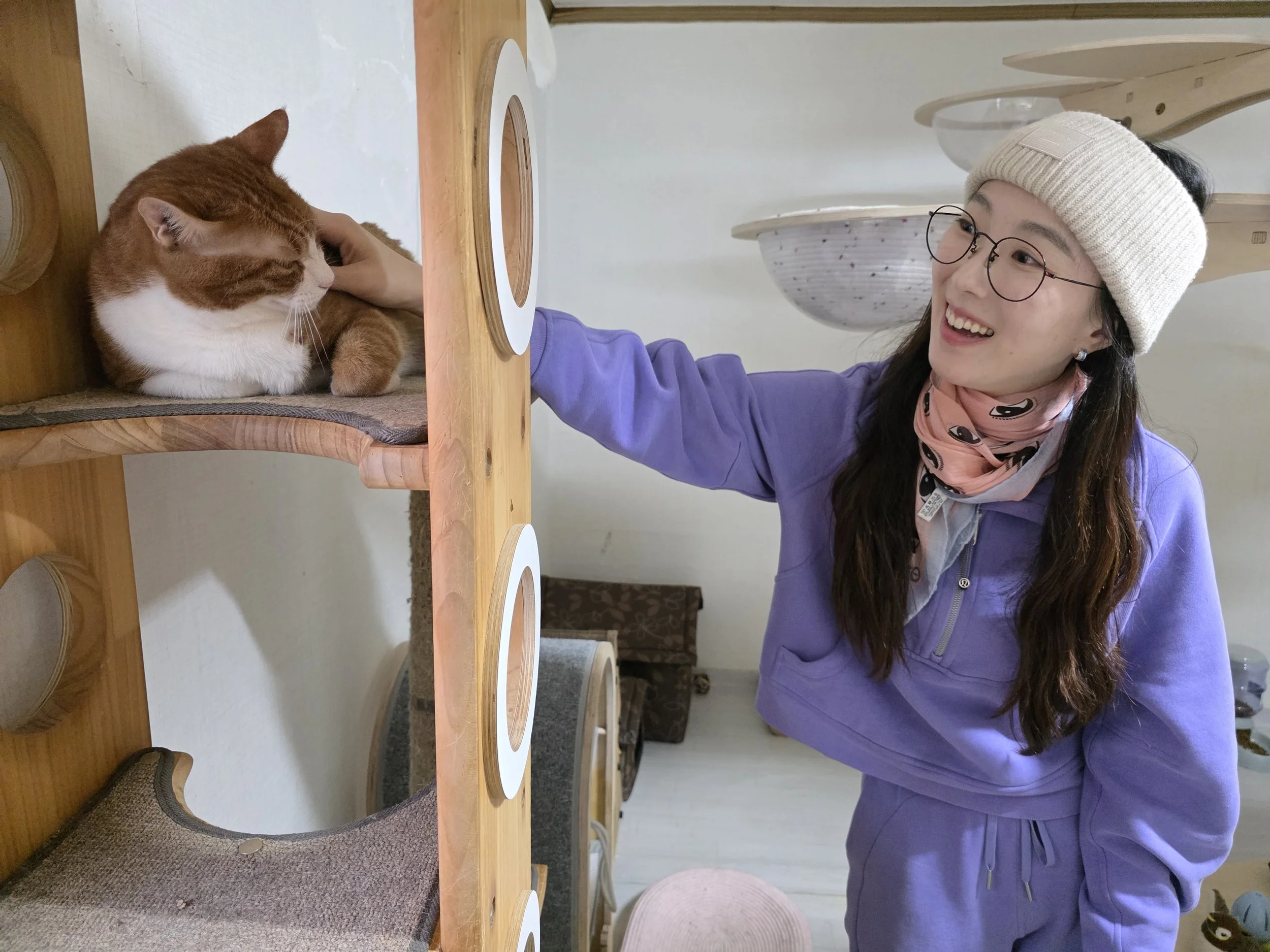 Julie Choi on Rescuing Seoul’s Street Cats