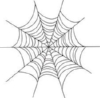 spiders web.jpeg