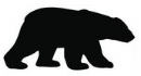 BEAR.png