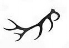 antler.jpg