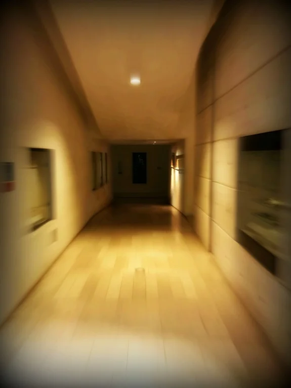 48395528_788077211525135_3417564146680463360_n (1) (1).jpg