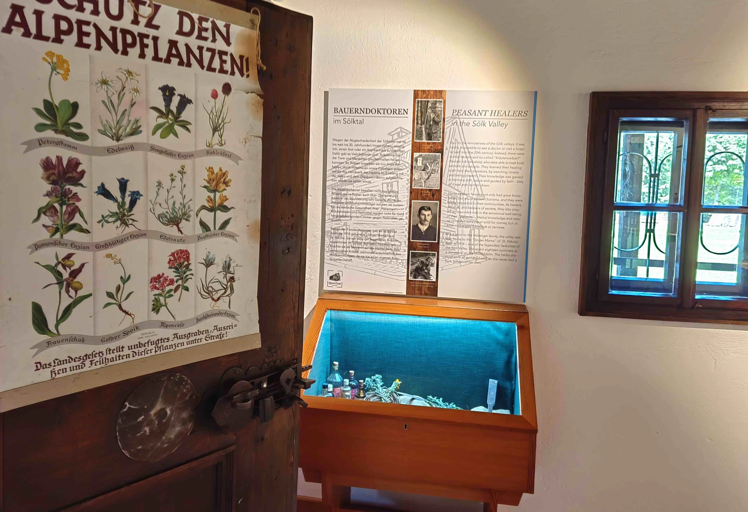 Mesnerhaus_OG_BrunoHolzinger_PlakatundVitrine_Kulturfux_IMG_20251010_144440.jpeg