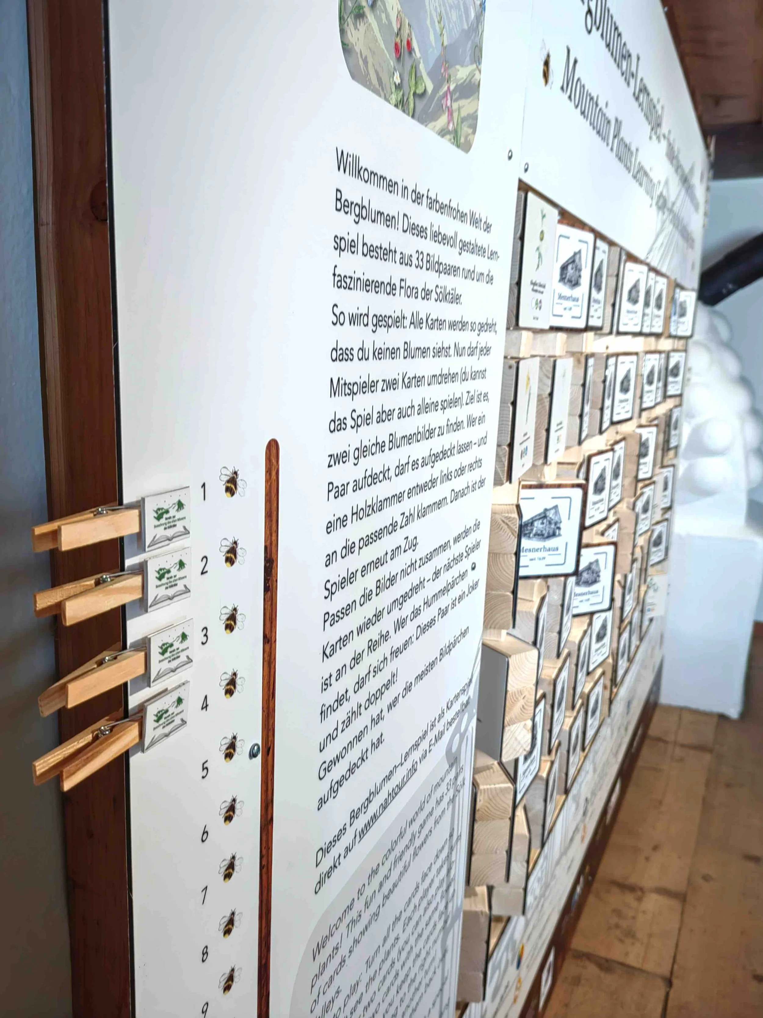 Mesnerhaus_Riesenmemo_Detail_Kulturfux_IMG_20251012_111538.jpeg
