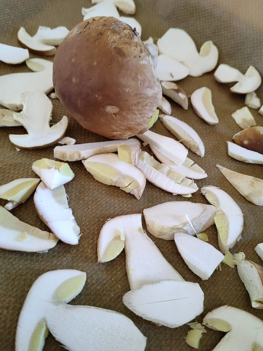 Steinpilz_Trocknen_IMG_20260930_133353.jpeg