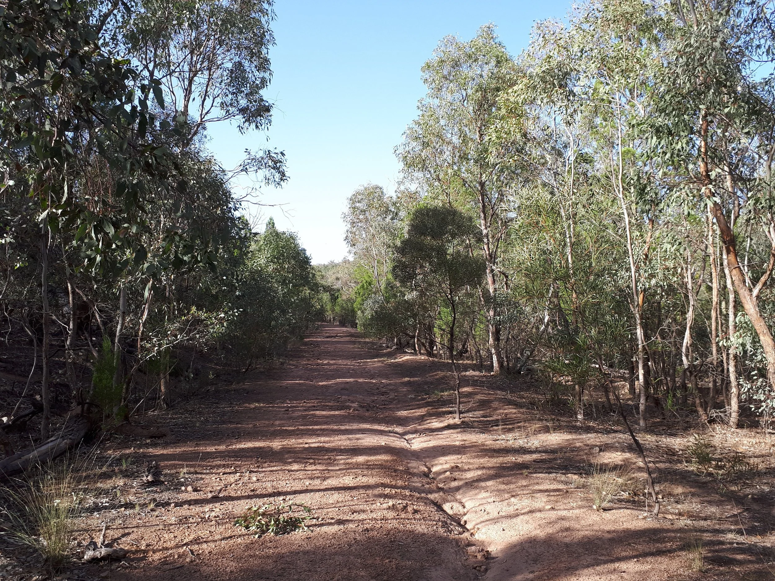 Photo Credit: Cootamundra-Gundagai Regional Council