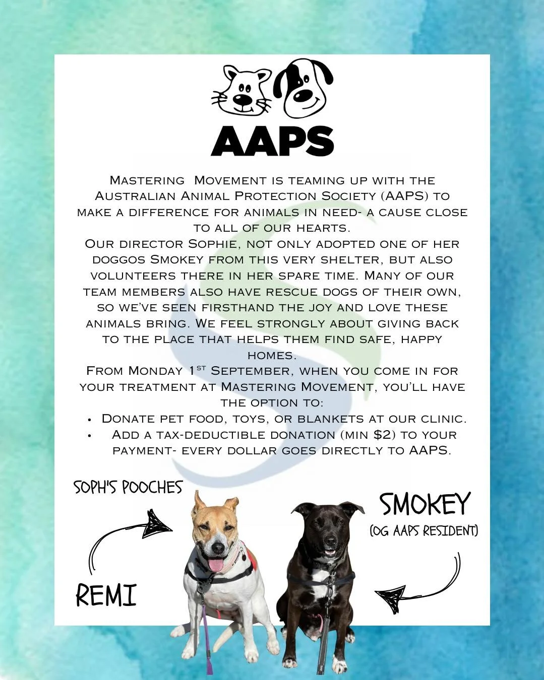 FROM MONDAY 1ST SEPTEMBER🐾
A collab that’s got tails wagging! https://aaps.org.au
#masteringmovement #chelsea3196 #bayside #rehab #livebetter #feelbetter #injuryprevention #injury #movebetter #health #AAPS #aaps #donate #adoption #rescue
