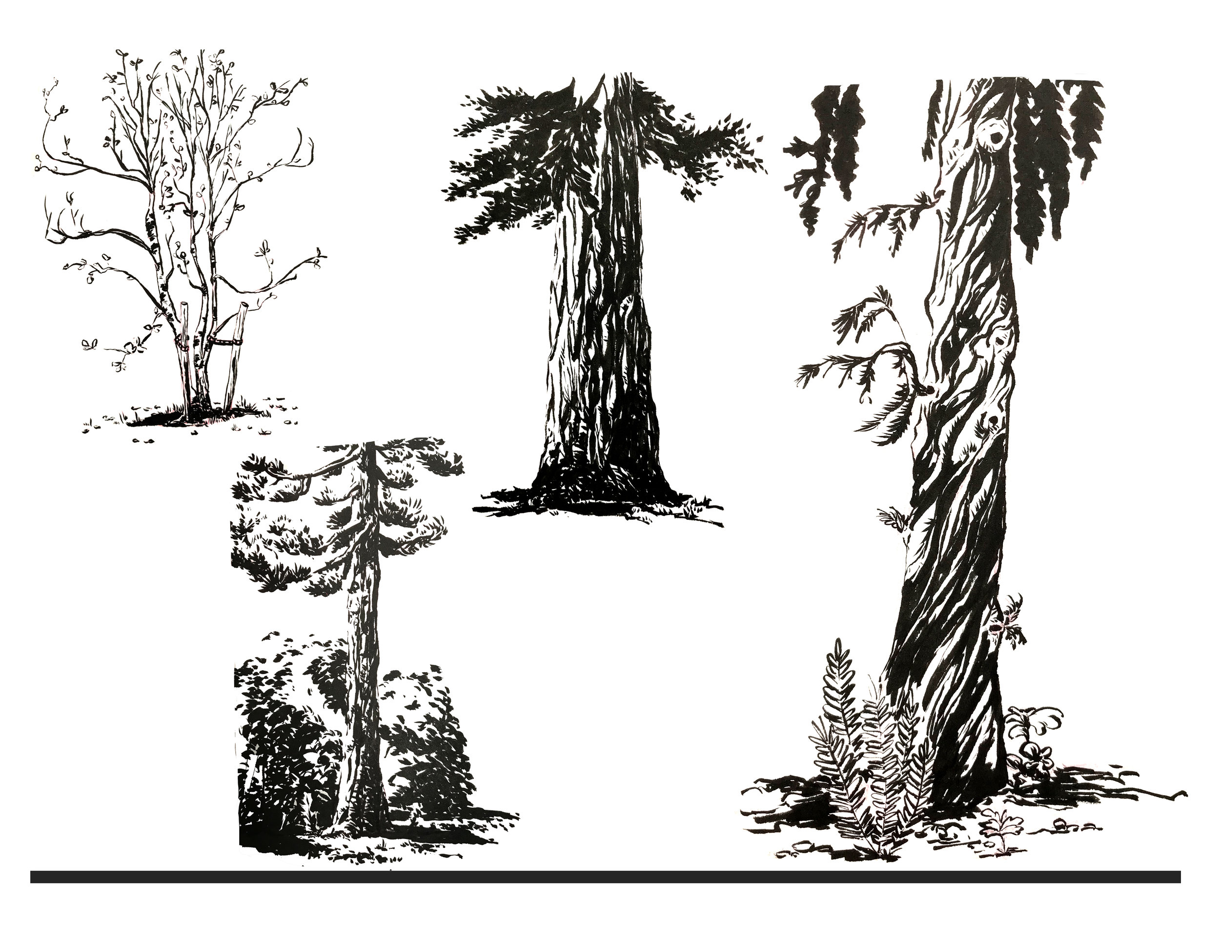 Environment_01.jpg