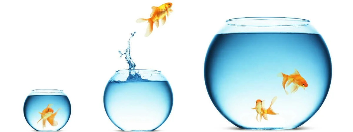    BES’TE RİSK ALMAK İSTEYENE, HER SEVİYEDE FON VAR