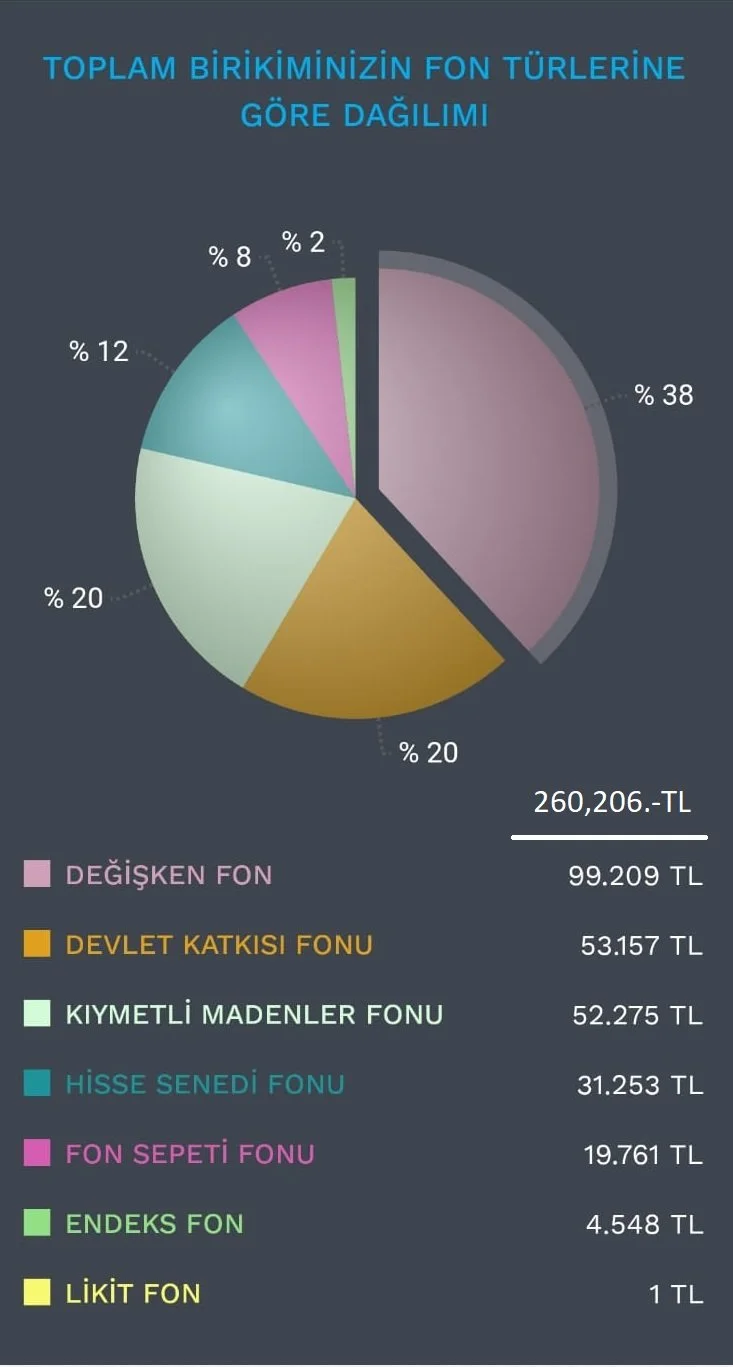 BES PORTFÖYÜM (1/3/2024)