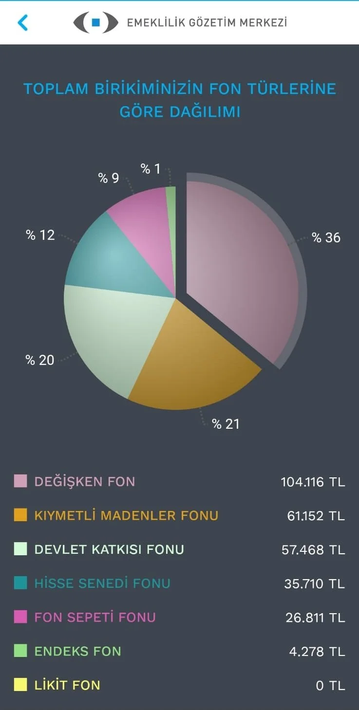 1 NİSAN 2024 BES PORTFÖYÜM