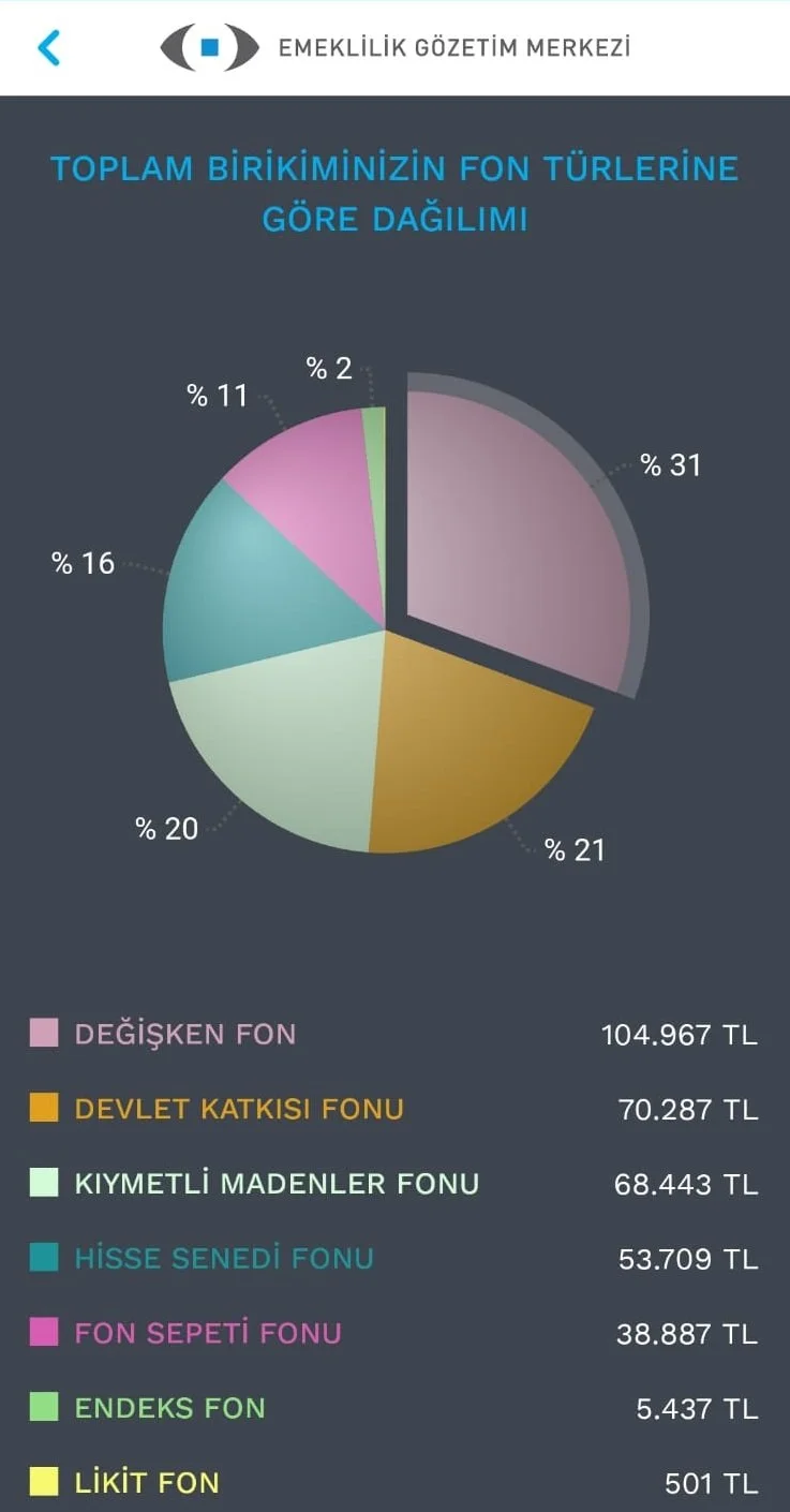 3 HAZİRAN 2024 BES PORTFÖYÜM