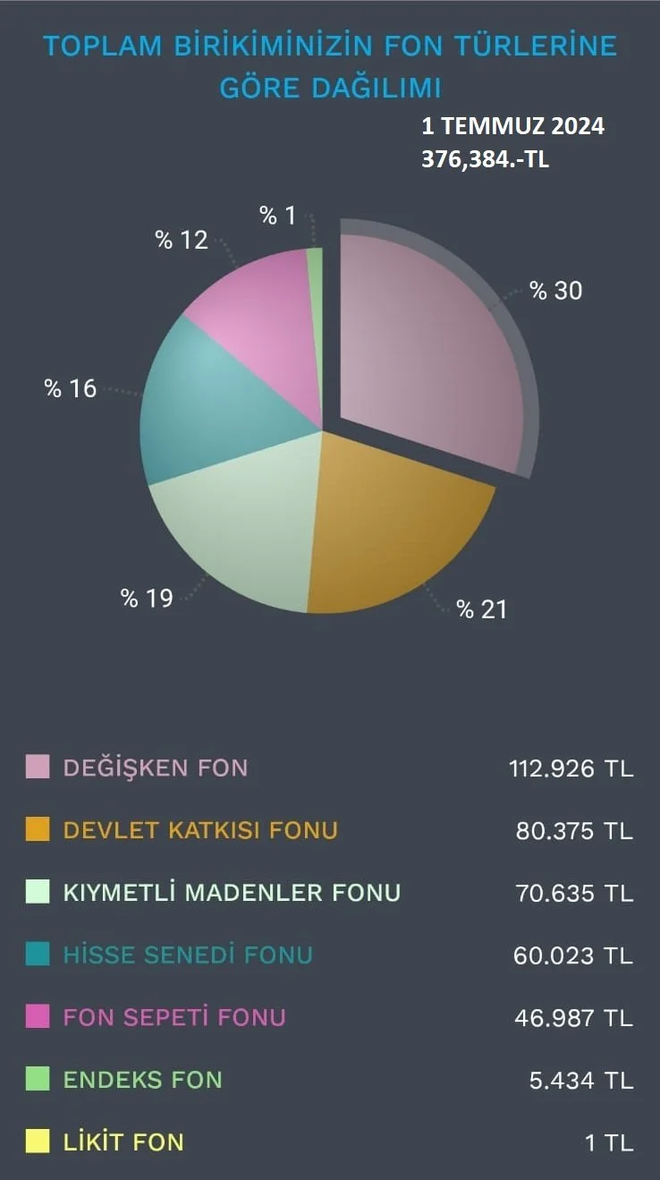1 TEMMUZ 2024 BES PORTFÖYÜM