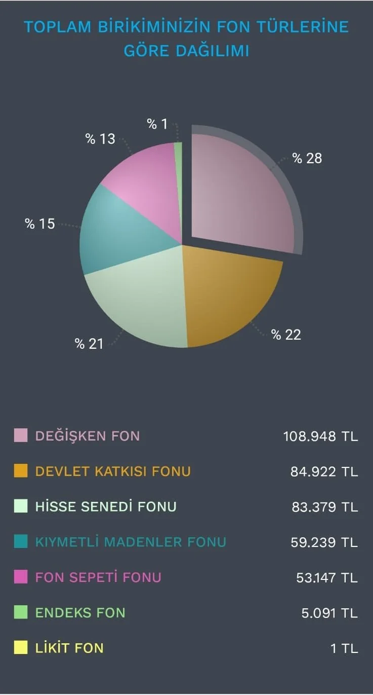 1 AĞUSTOS 2024 PORTFÖYÜM