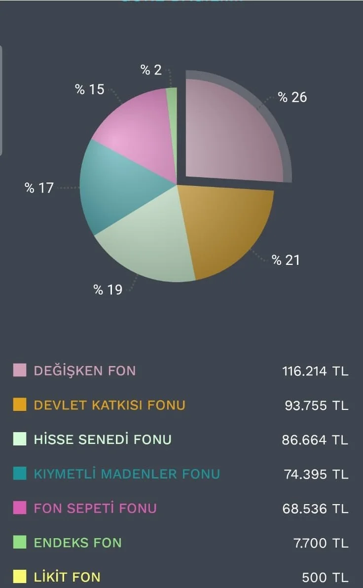 2 EKİM 2024 BES PORTFÖYÜM