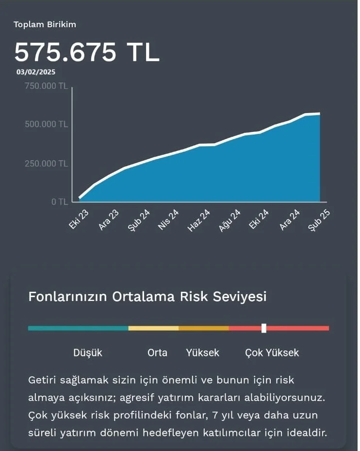 3 ŞUBAT 2025 BES PORTFÖYÜM