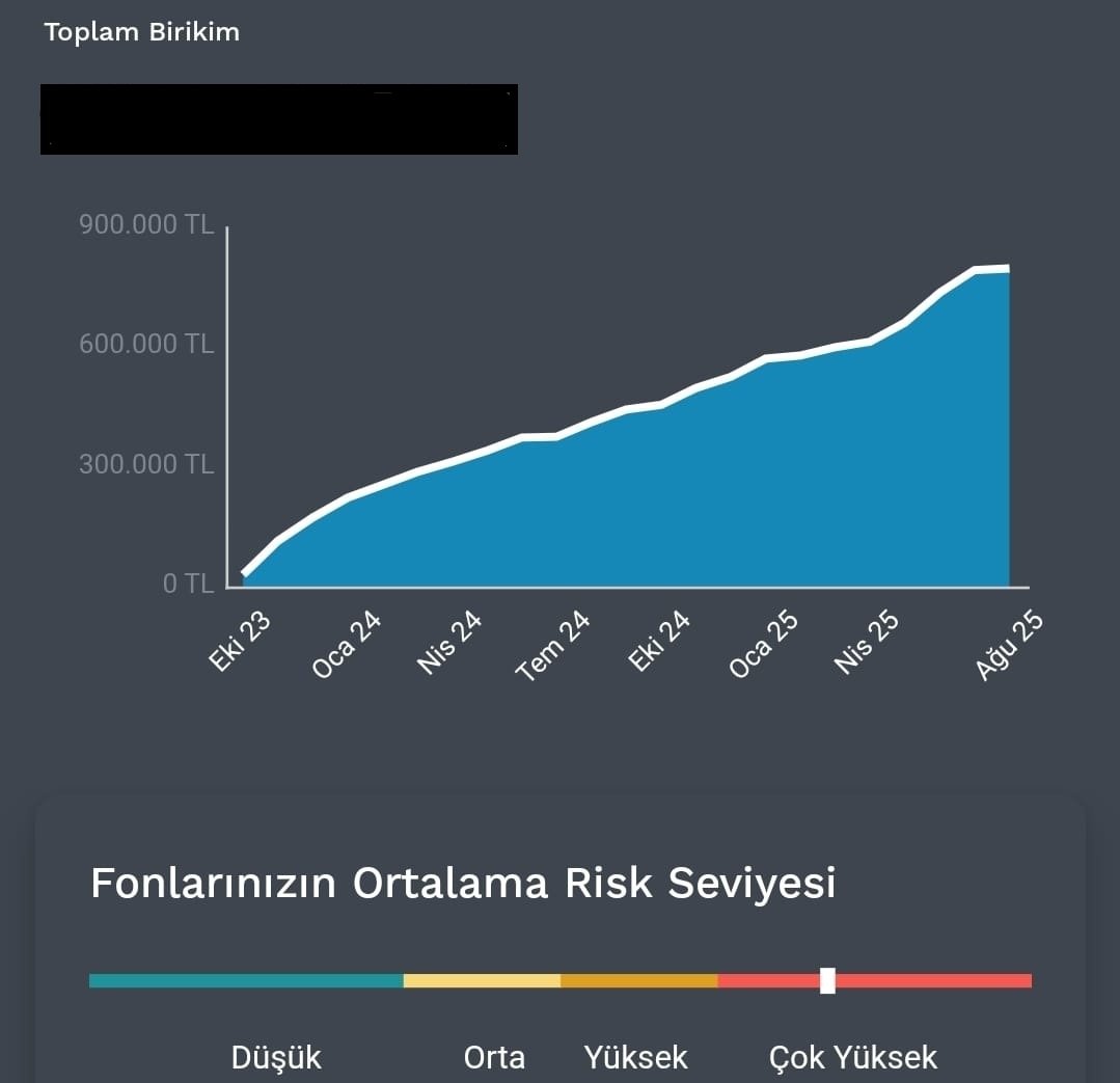 1 AĞUSTOS 2025 BES PORTFÖYÜM