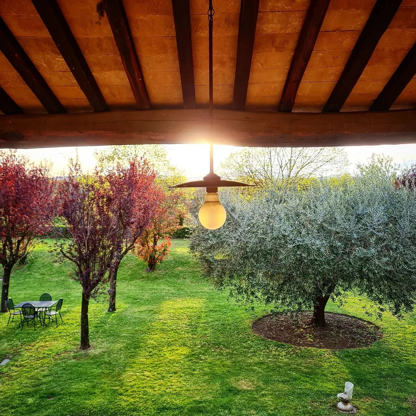 Torner&agrave; il sole 🌅☺️
#cerqueto #agriturismocerqueto #campagna #garden #italy #rural #farm #holiday #relax