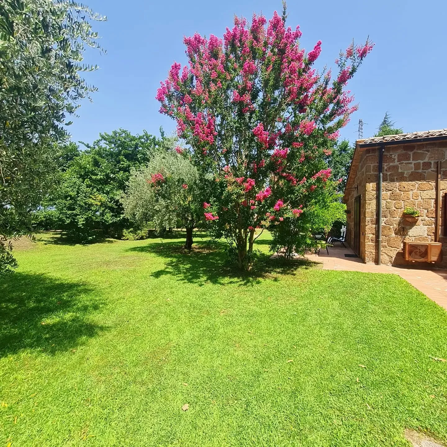 Sunday🌞🌞🌺🌺

#agriturismo #italy #holiday #farmhouse #family