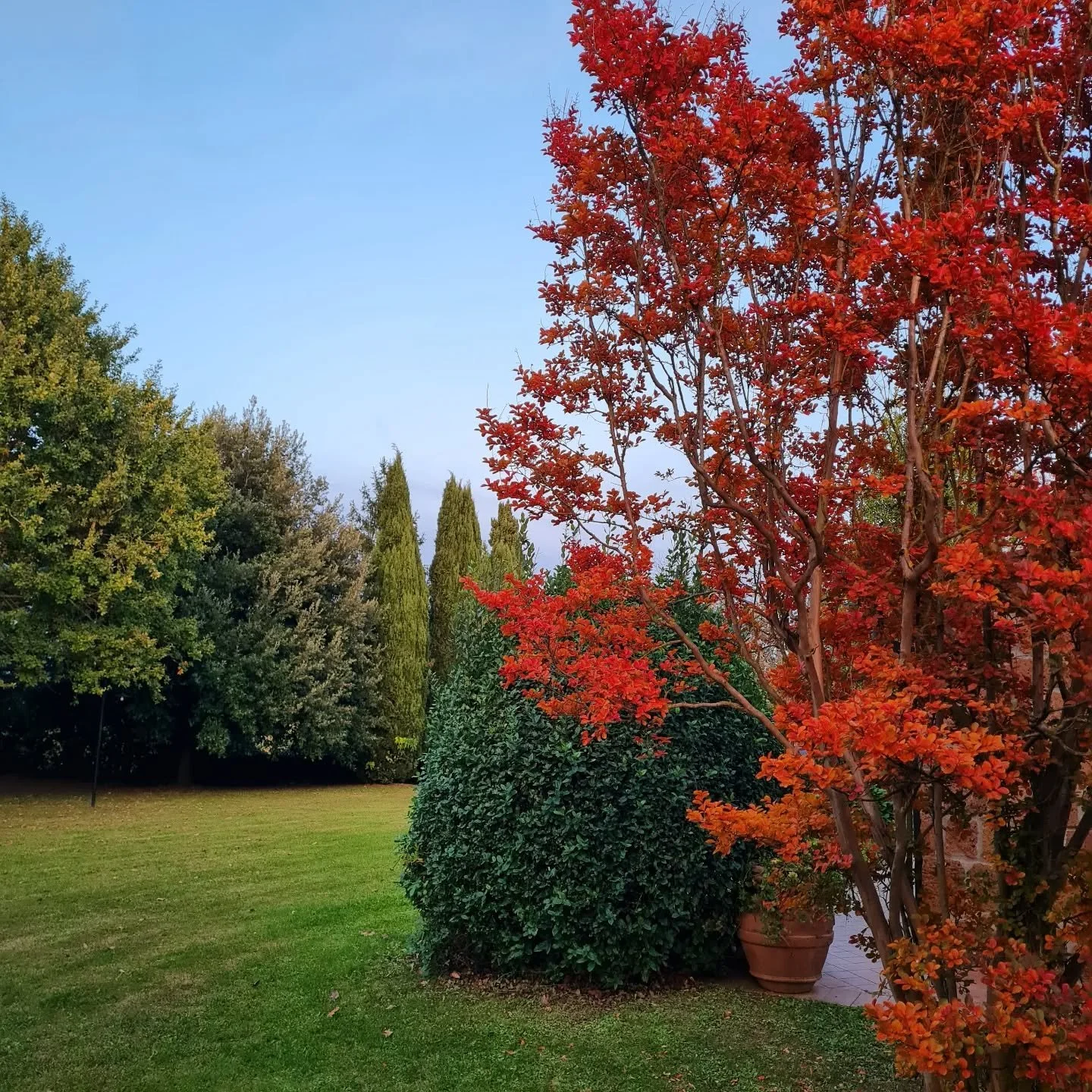 Autunno 🍂...noi siamo ancora qua! 

#autumn #colors #italy #farmhouse #october