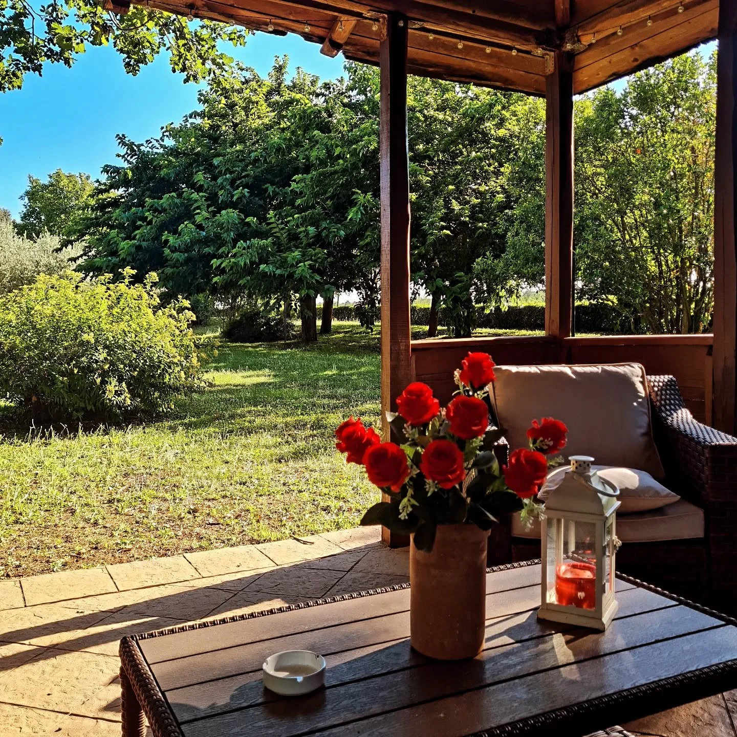 Relax..🍹

#agriturismo #cerqueto #lazio #italy #holiday #countrylife #family