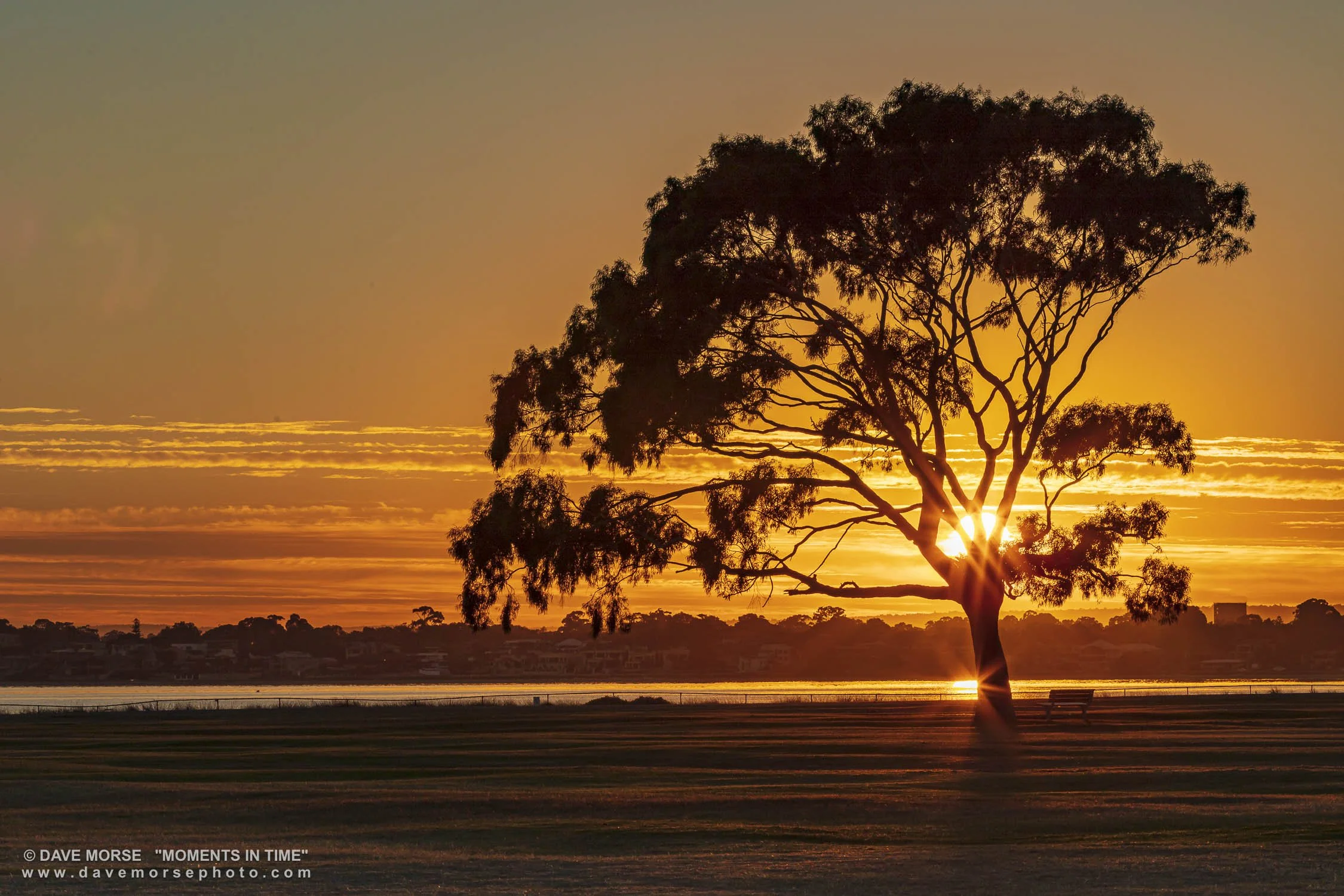 Attadale. Image No. 1186.27417.32 ... Lone Tree Sunrise. 27/4/2017