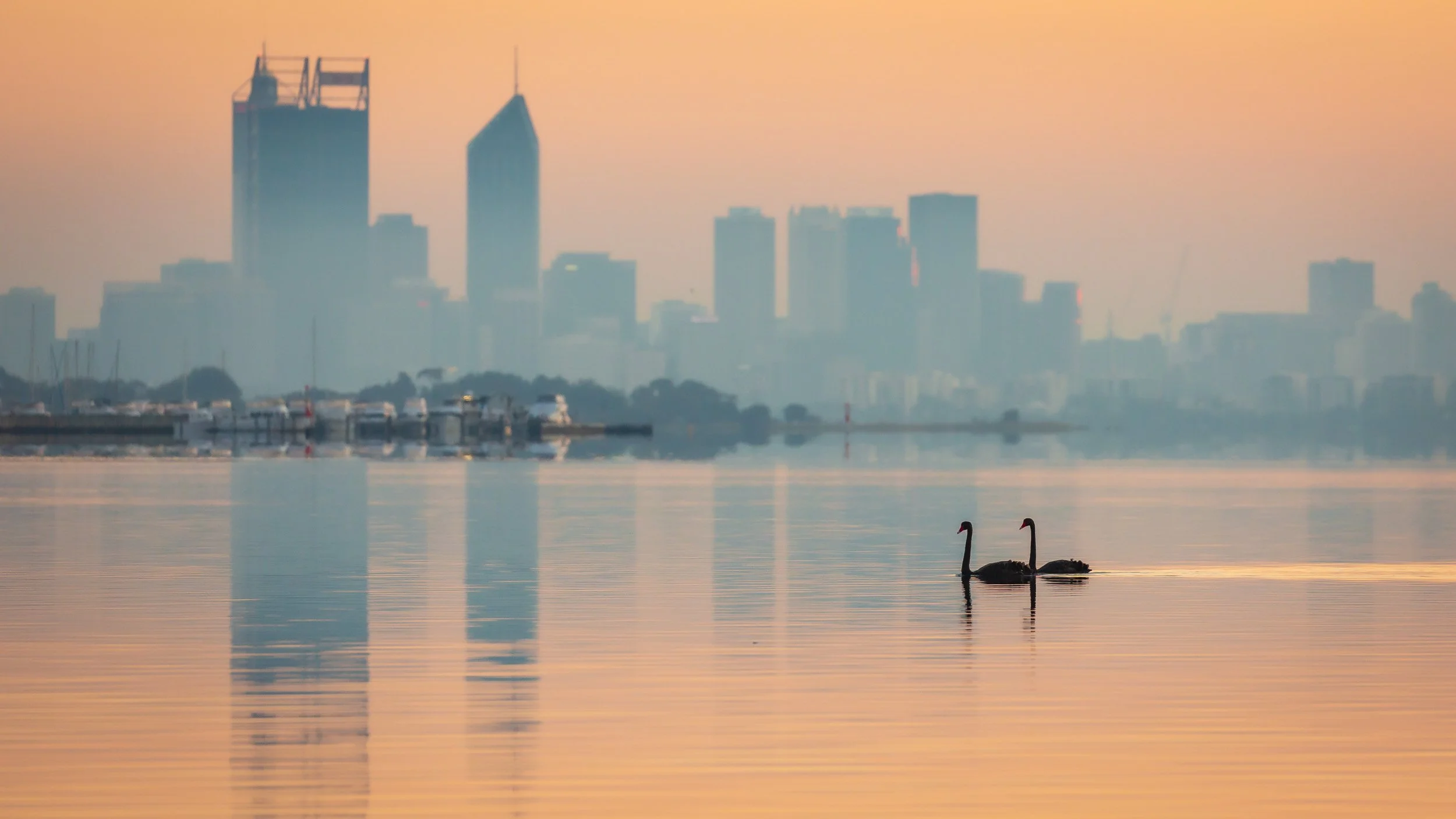  Image. 0036 ATT. Ratio: 16:9