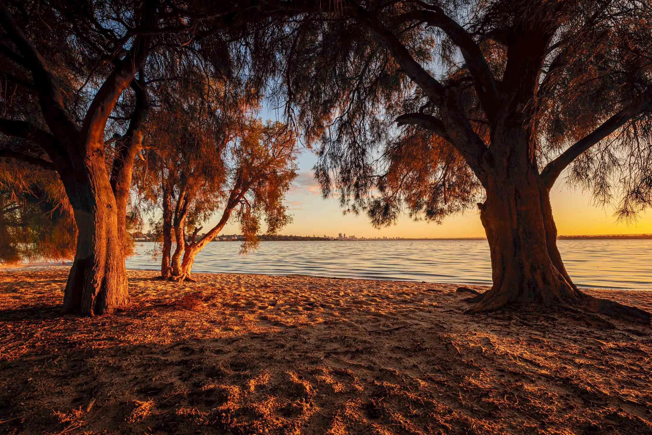 Image. 5420 ATT. Ratio: 3:2