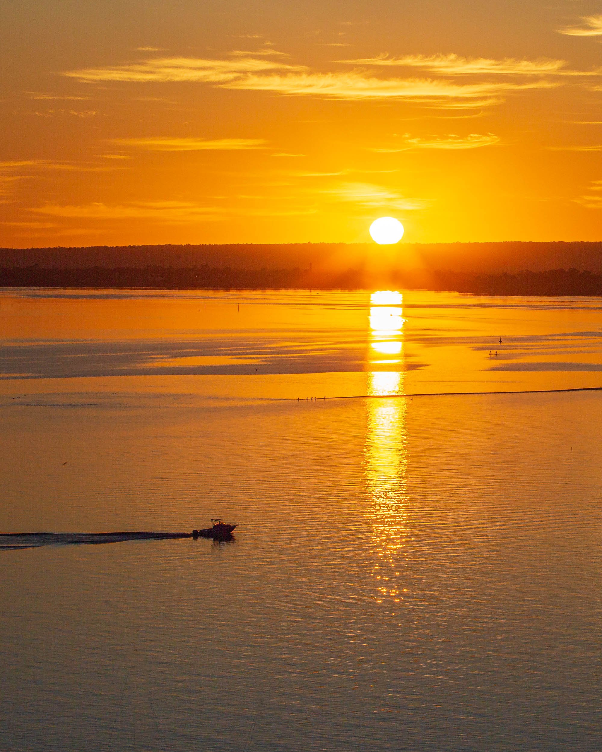 Image. 0058 MFB.  Ratio: 4:5 Portrait 