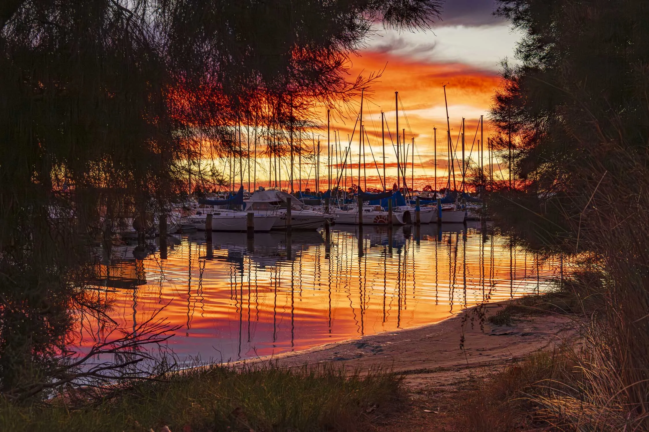 Image No. A8032.  Ratio 3:2