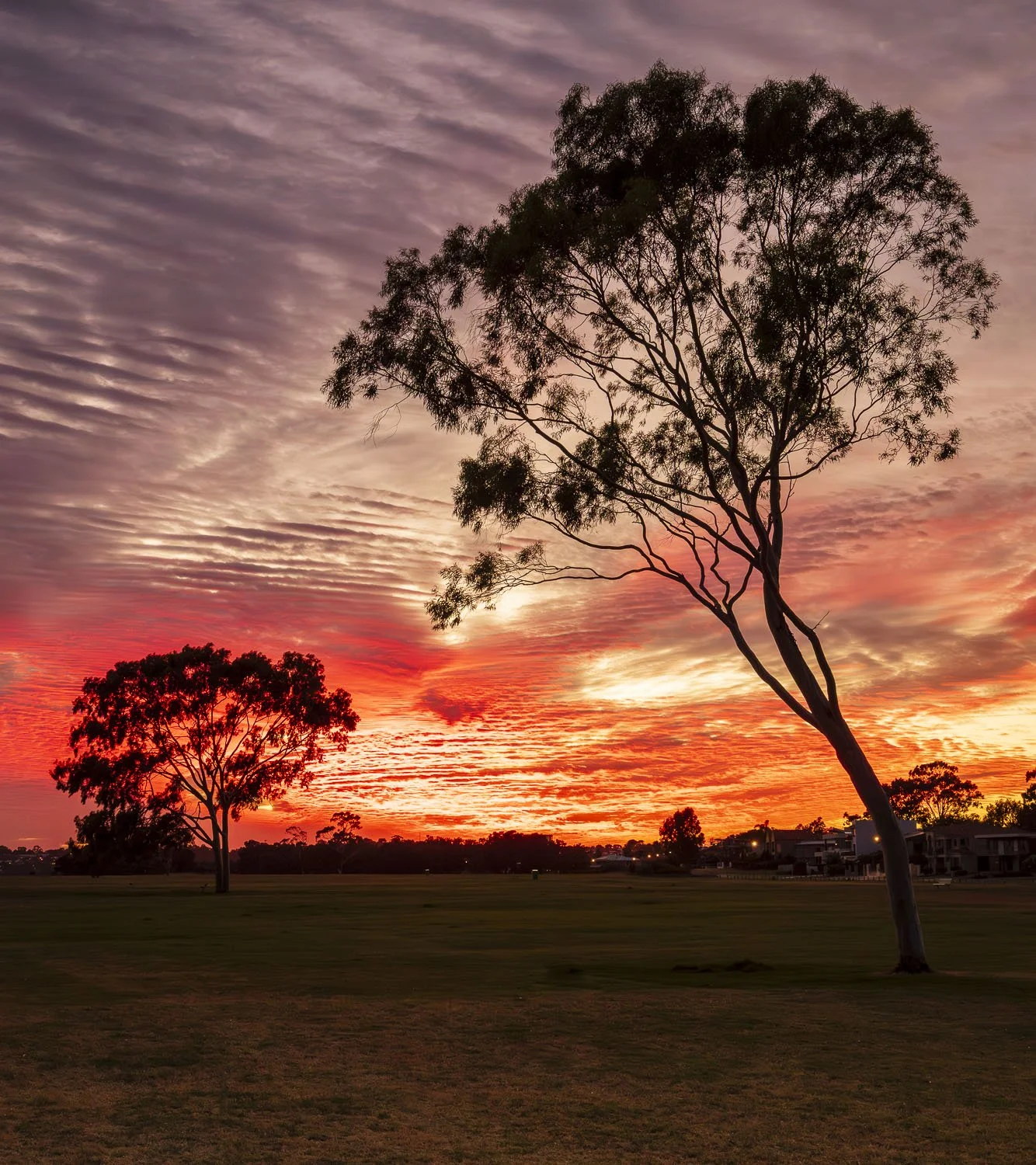 Attadale. Image No. 6731.9126.54 