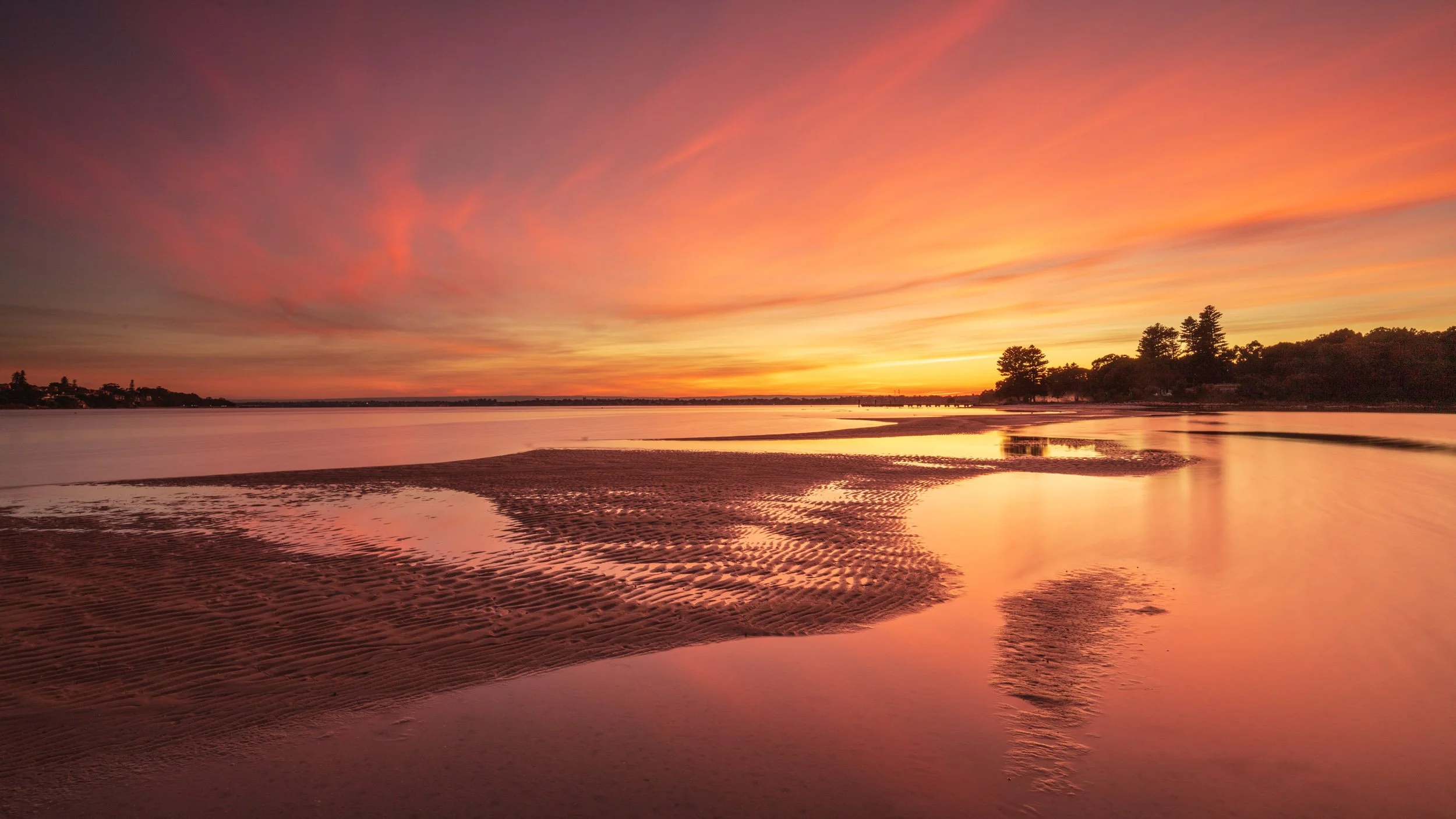 Pt. Walter. Image No. A8241.11217.169