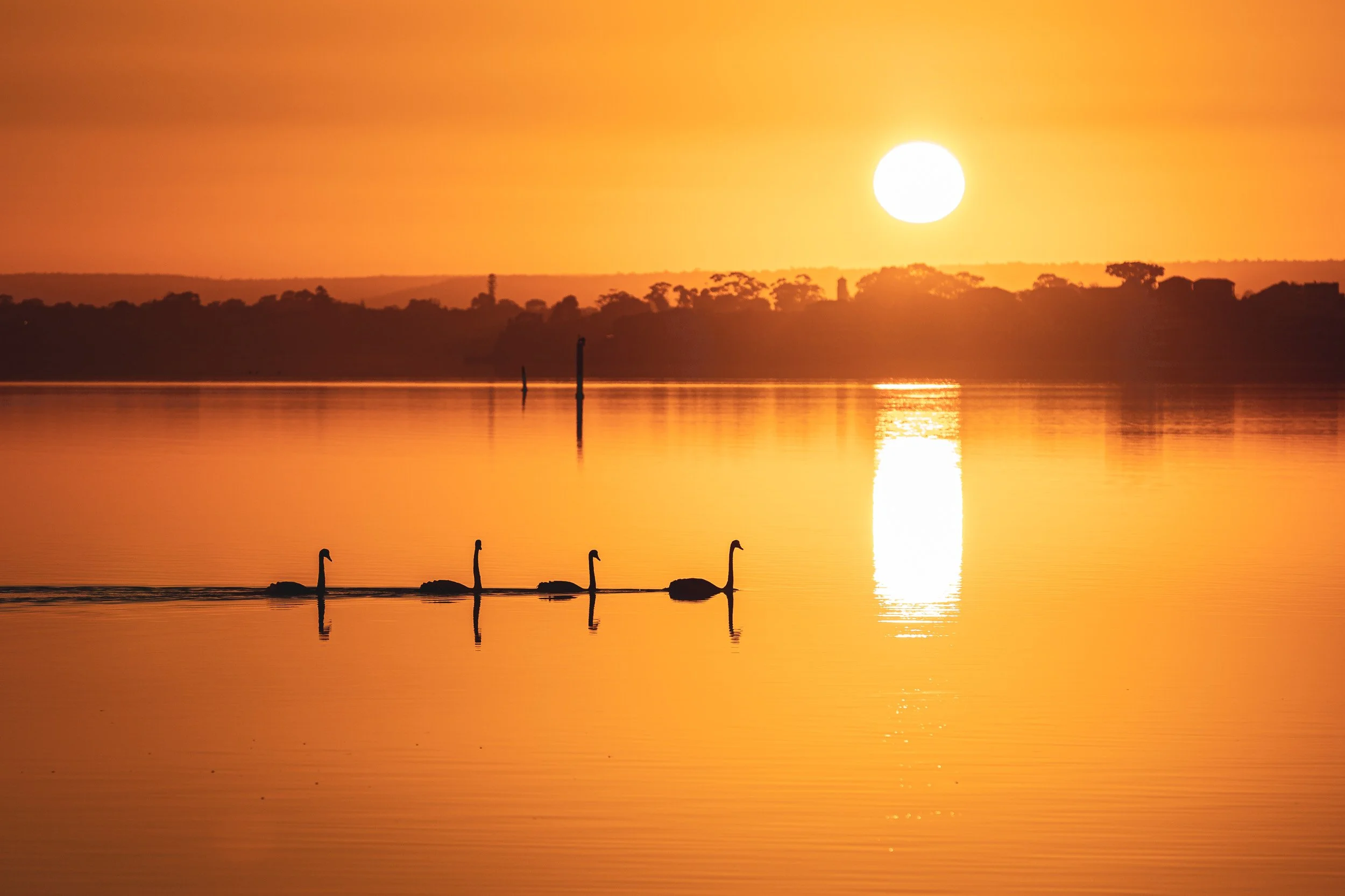 Pt. Walter. Image No. 0016.18819.32