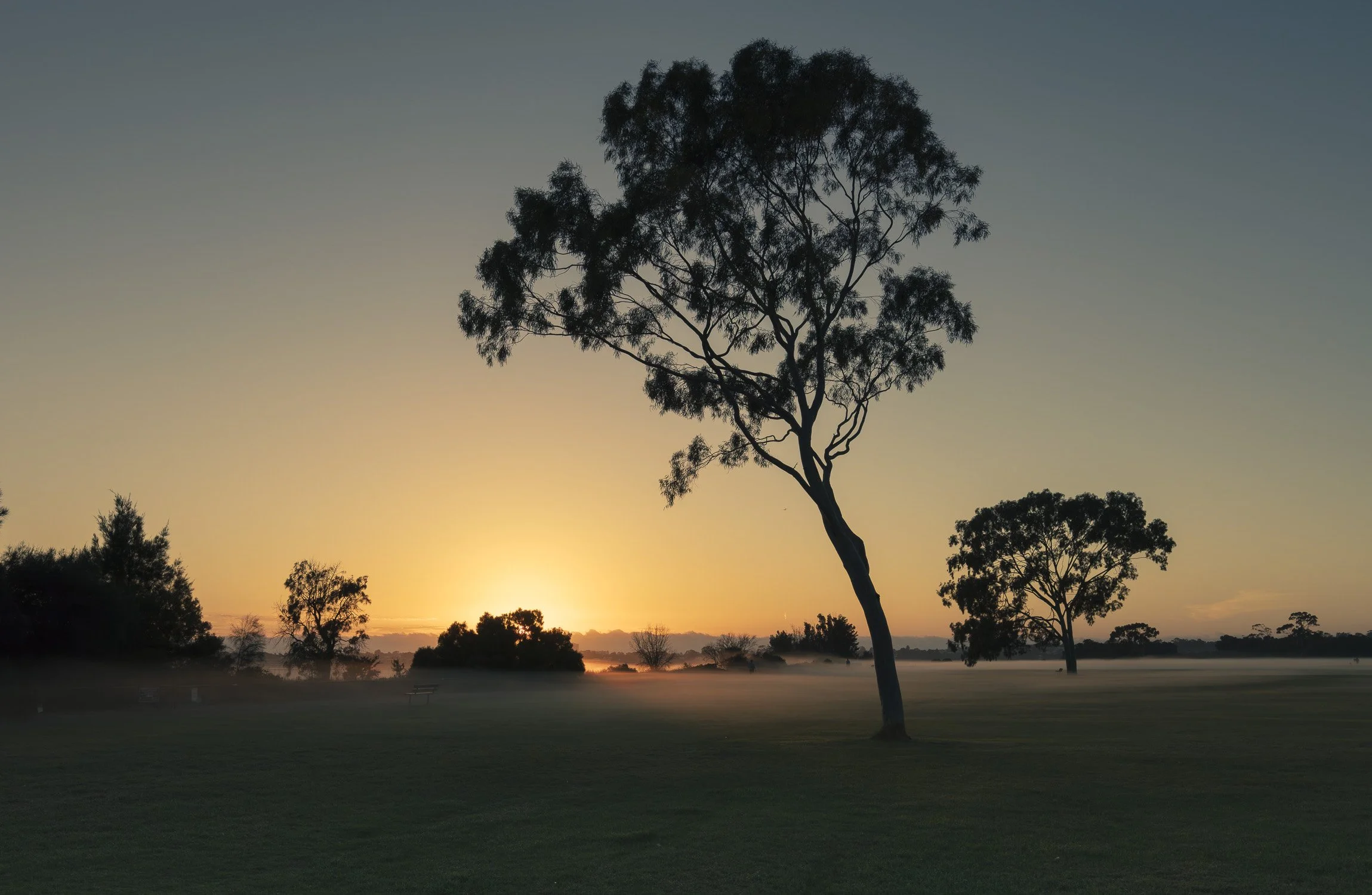 Attadale. Image.No. 4A7301.5426.32