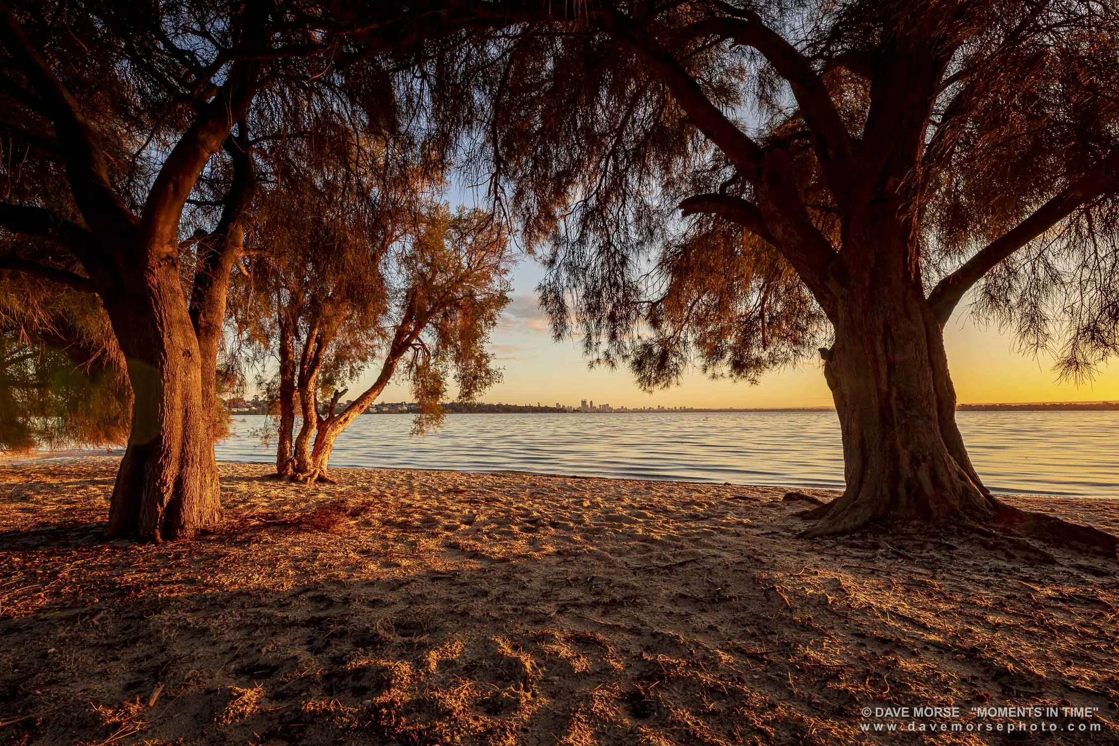 Attadale. Image No. 5420.91020.32 ... Dawn at the dog beach. 9/10/2020.