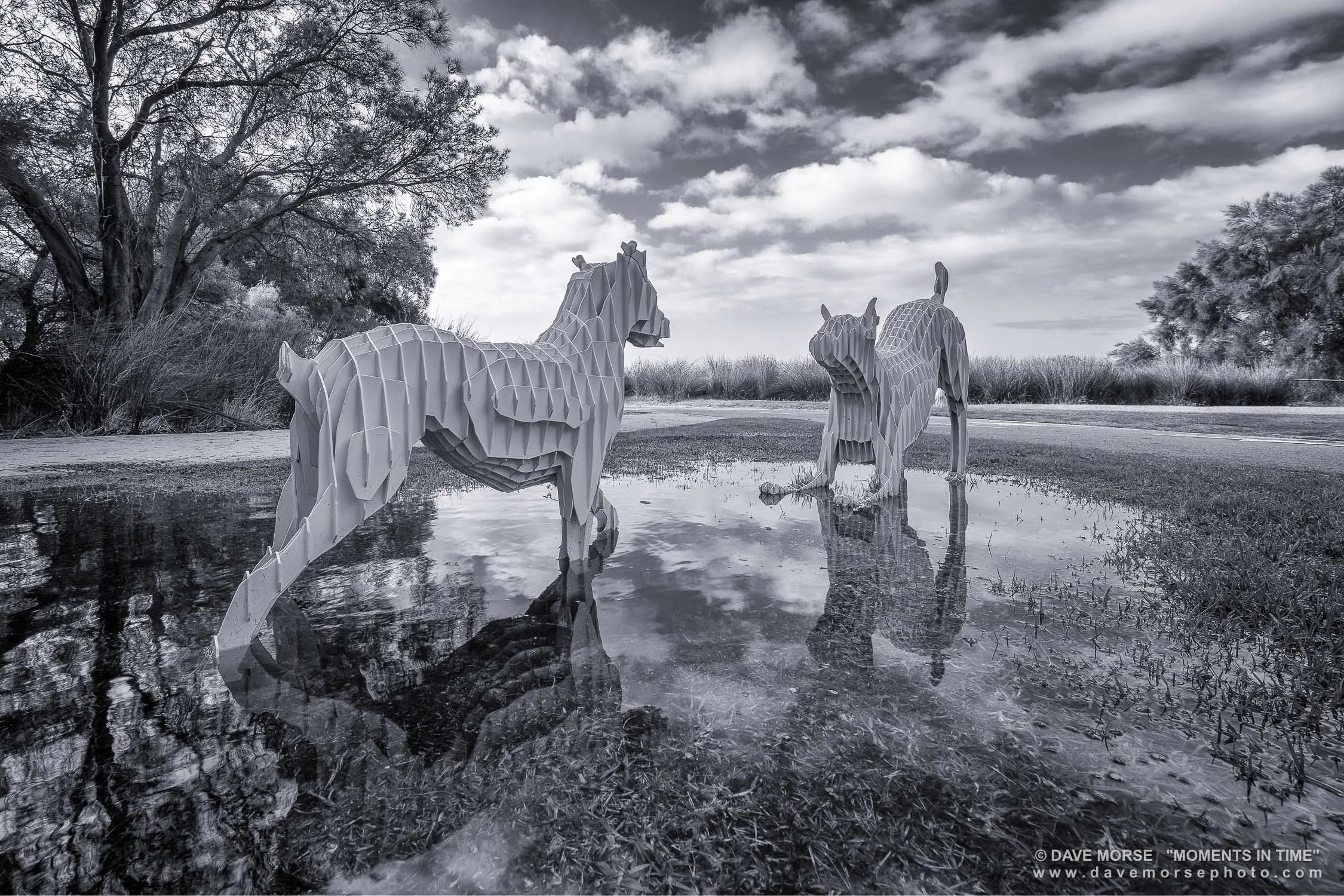 Attadale. Image No. 7777.7721.32 ... Sculptures at the Attadale dog beach after heavy rain note; the reflections in the puddles. 7/7/2021.