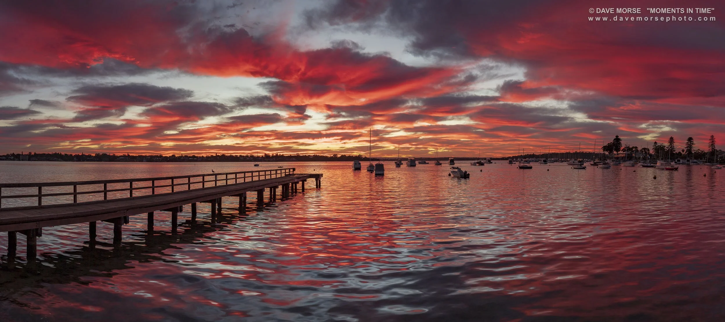 Mosman. Image No. 7920.23219.188