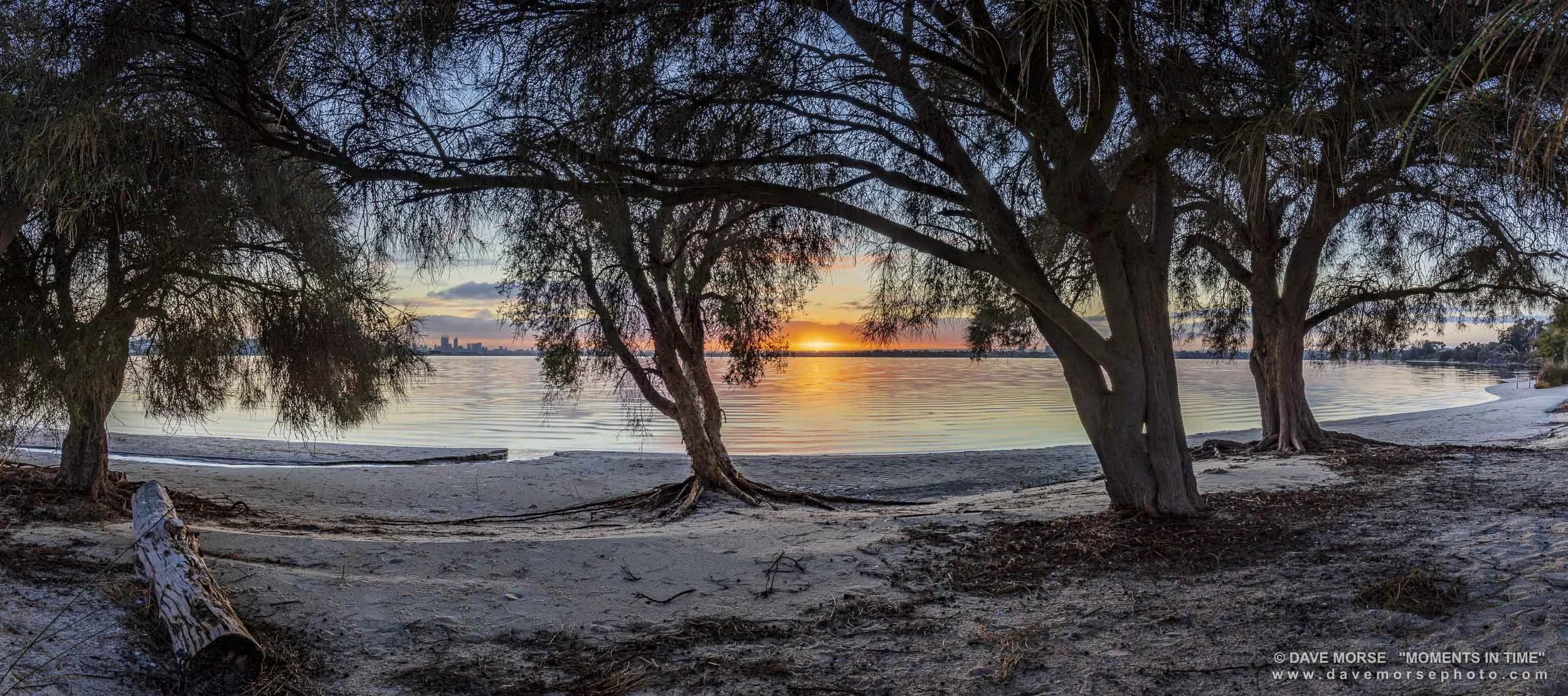 Attadale. Image No. 6359.2821.21 ... Full panorama, sunrise at the dog beach. 2/8/2021.