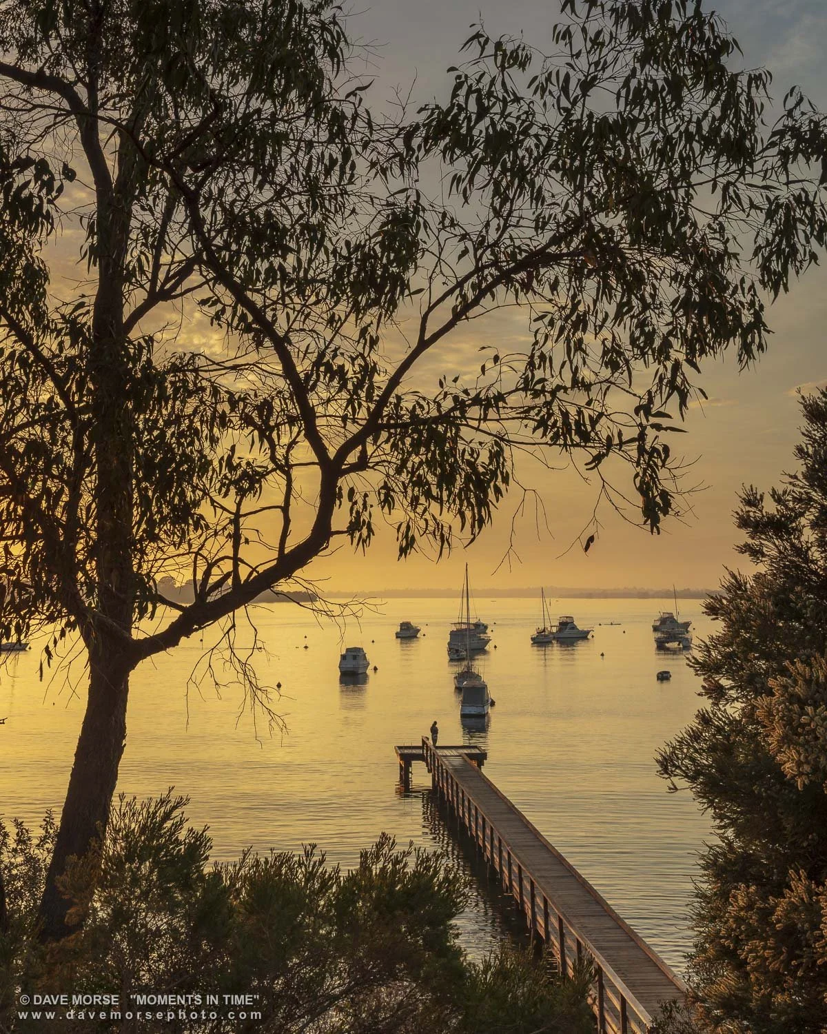 Mosman. Image No. 2999.8319.45P