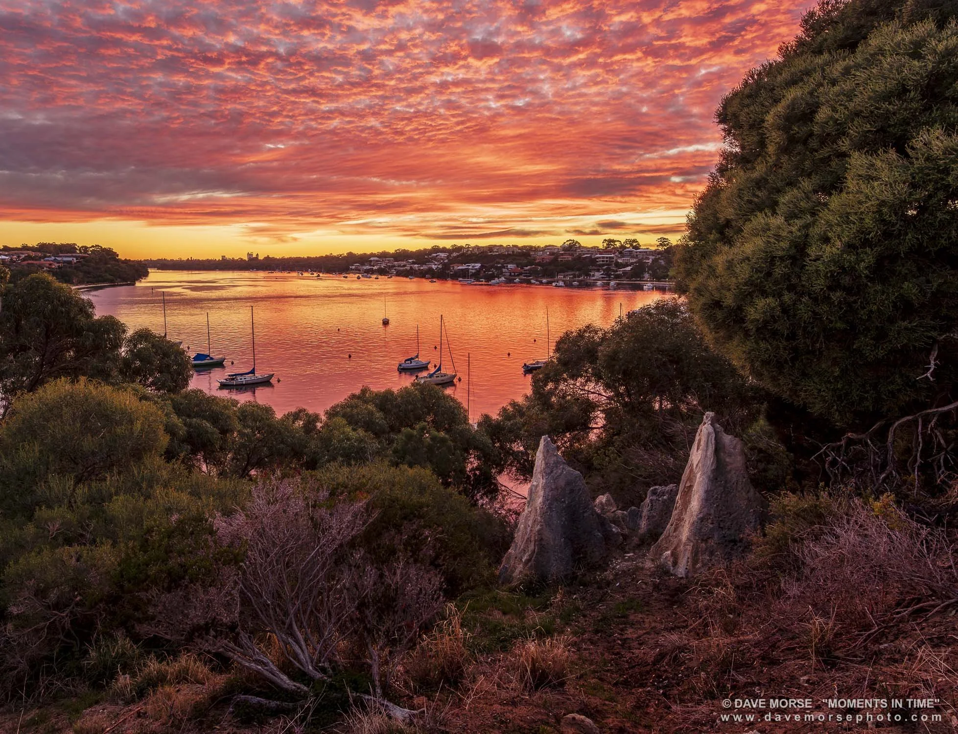 0B4A1163-HDR.jpg