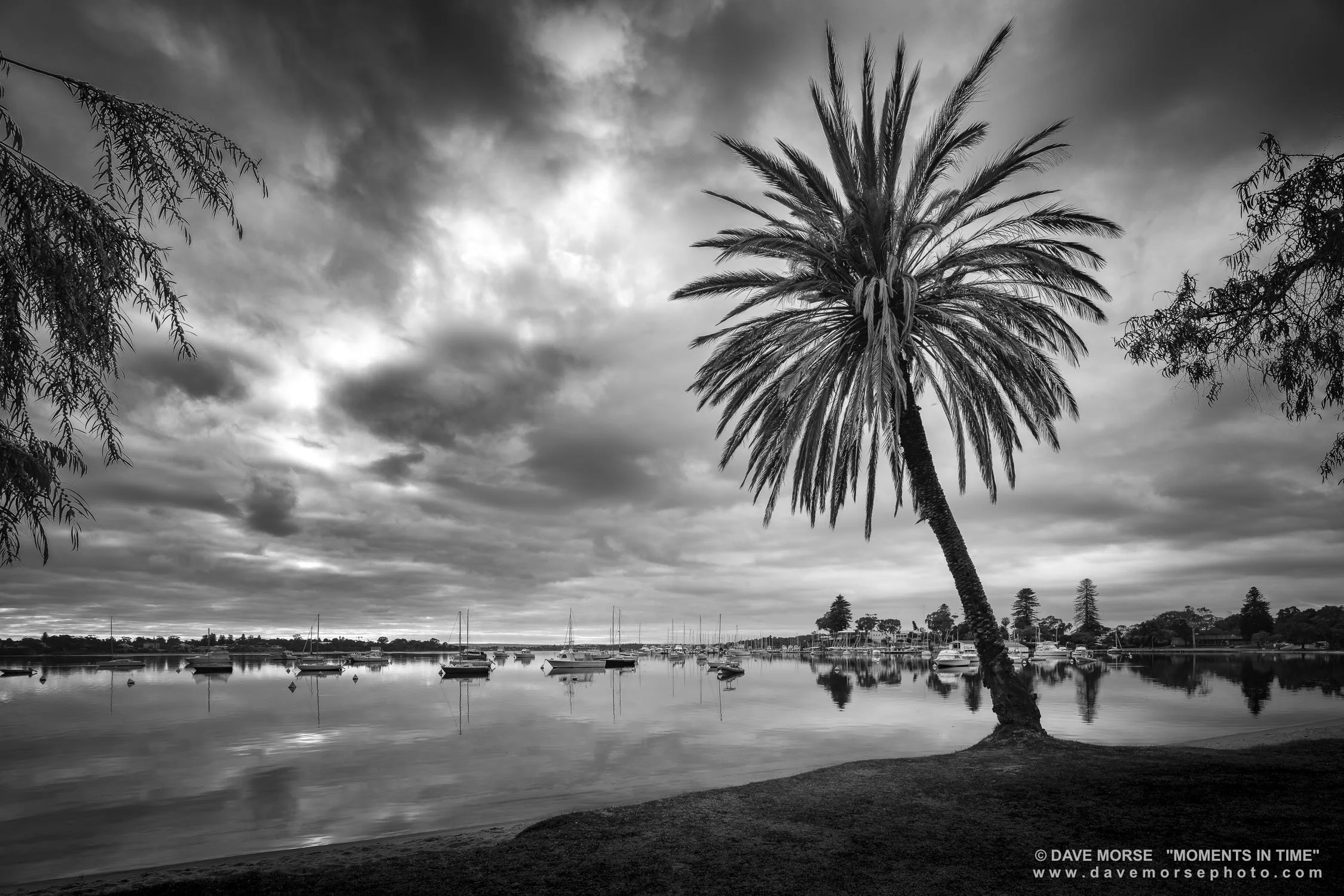 Mosman. Image No. 0456.201118.32