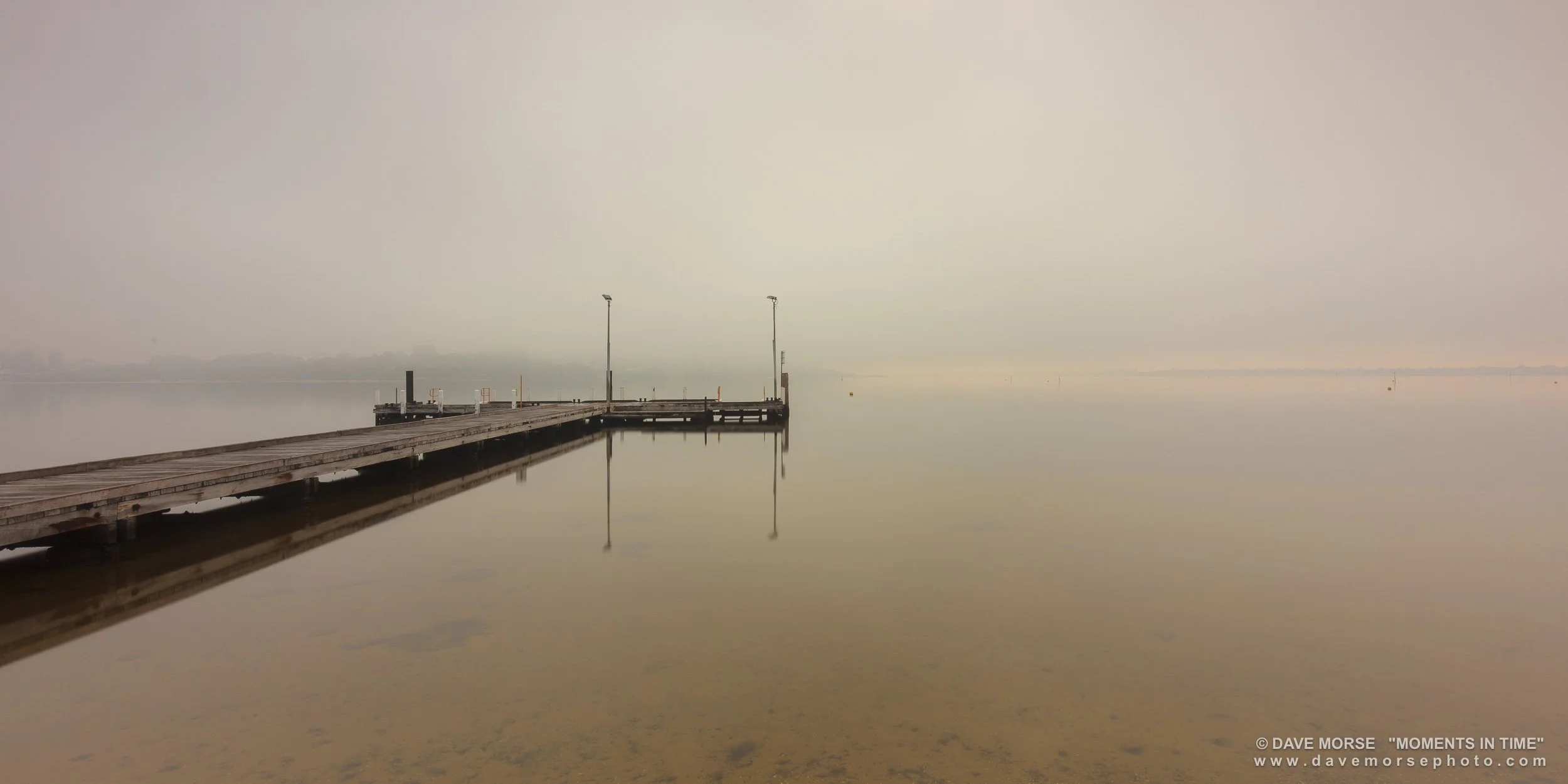 20170406-0B4A0784.jpg