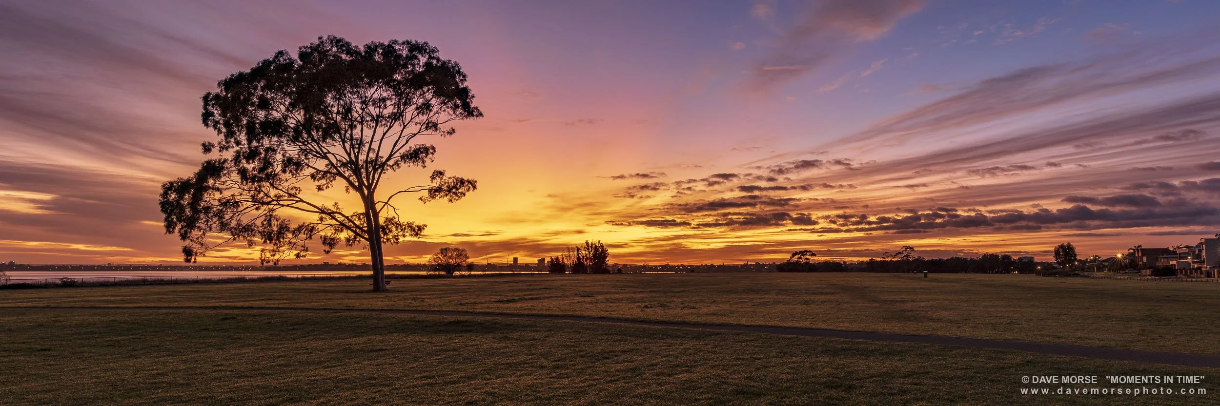 Attadale. Image No. 4255.8922.31 ... Dawn at the dog park, full panorama. 8/9/2022.