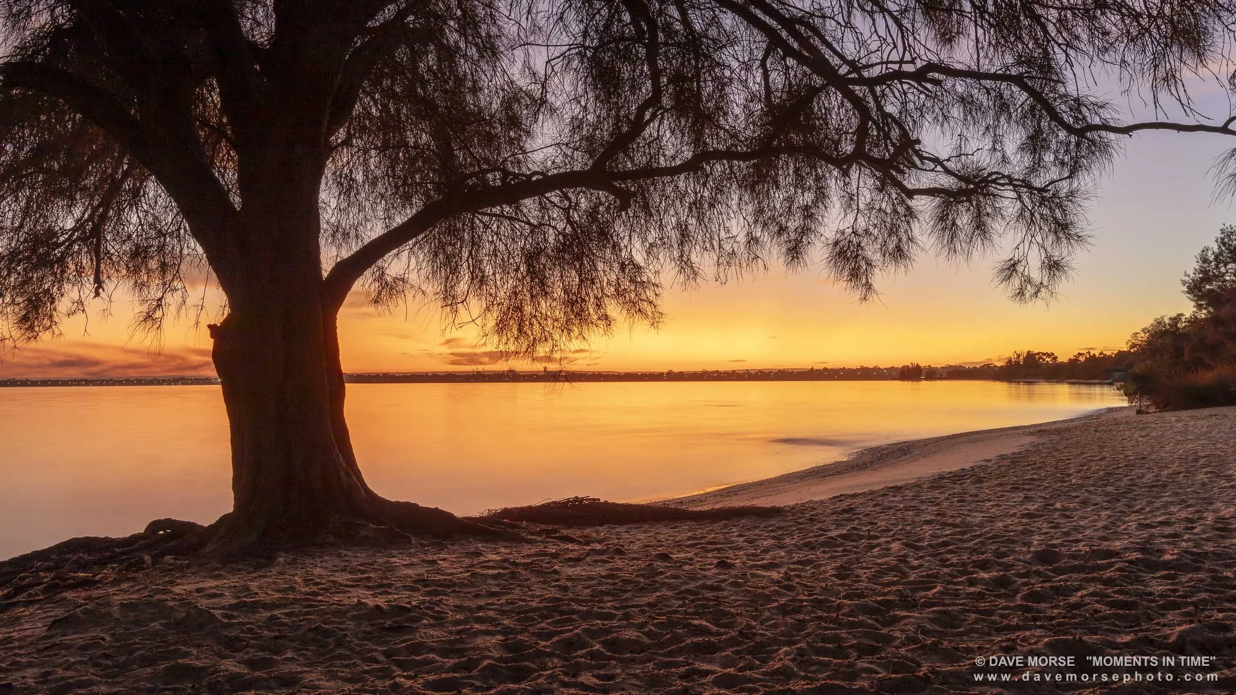 Attadale. Image No. 6326.10323.169 ... Dawn, at the dog beach. 10/3/2023