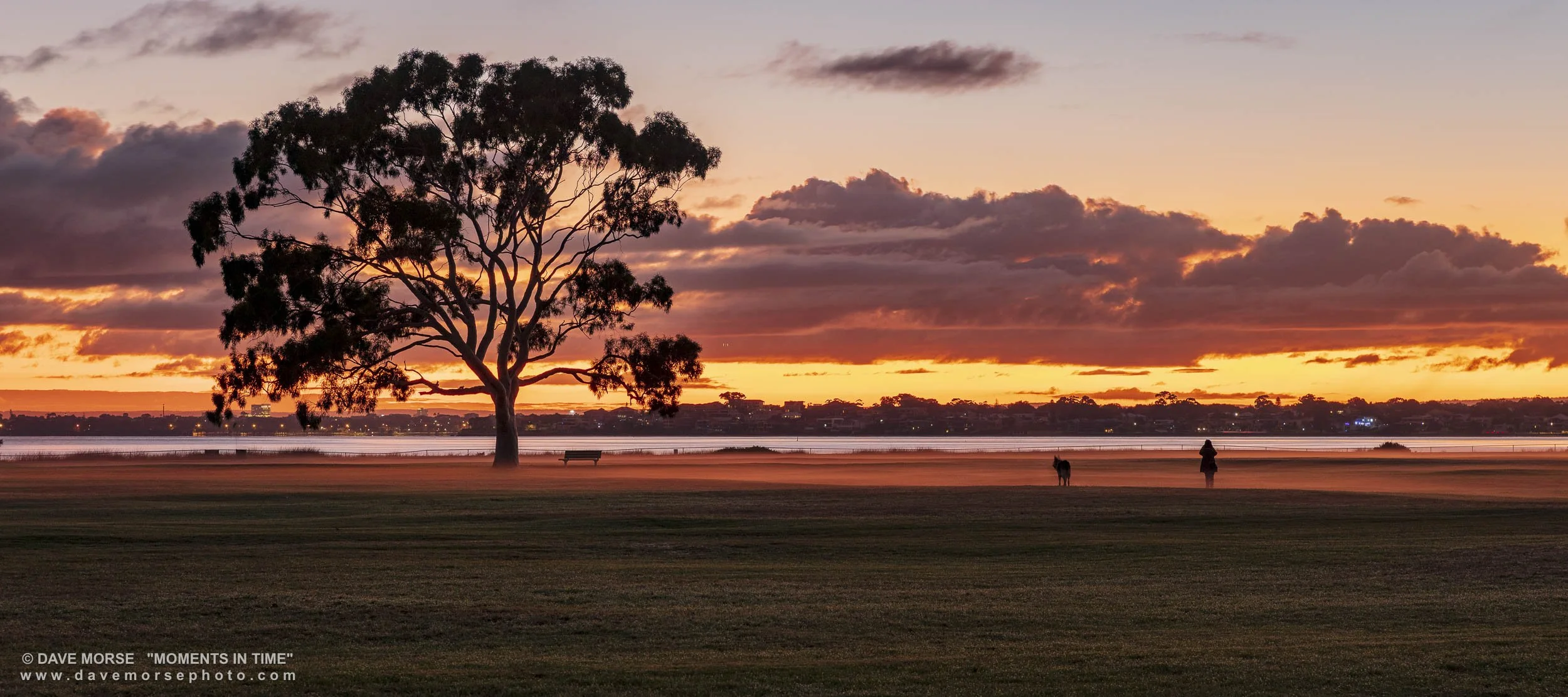 Attadale. Image No. 0751.10522.21 ... Lady and her dog,  just enjoying the sunrise. 10/5/2022