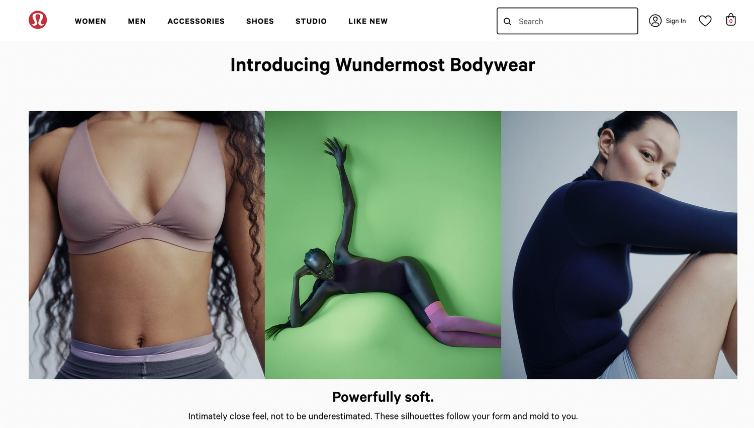 Wundermost story page header.png